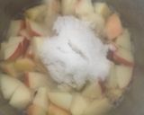 Foto del paso 2 de la receta: Mermelada de manzana