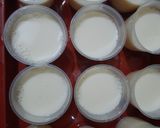 Foto langkah ke 3 dari resep Pudding Tofu Kiwi / Pudding Susu.