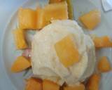 MuskMelon Icecream recipe step 4 photo