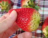 صورة لخطوة 1 من وصفة تجميد الفراولة على شكلها🍓