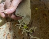 Foto del paso 4 de la receta: Kebab del Mercadona a mi manera
