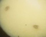 A picture of step 2 of Jhat Pat barfi.