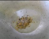 A picture of step 2 of Prawn Masala curry.