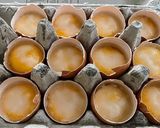 A picture of step 1 of Salted Egg Yolks.