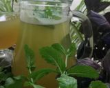 Une image de l'étape 5 de Salade 🎭🌿🌶️festival d’été.