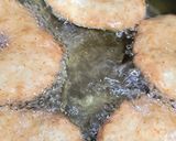 Foto del paso 4 de la receta: Sopaipillas pasadas libres de gluten