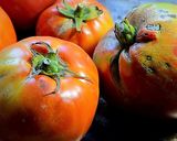 Une image de l'étape 2 de Roulés d'aubergines végétariennes.