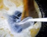 A picture of step 2 of White sauce Veggie Pasta.