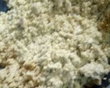 A picture of step 4 of Tofu scrambled.