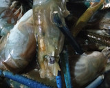 Foto langkah ke 1 dari resep Udang galah bumbu pedas.