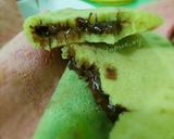 Foto langkah ke 4 dari resep Martabak Lenggang (Martabak Lipat).