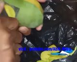 Foto langkah ke 2 dari resep Syrup Mangga Kweni.