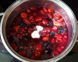 A picture of step 3 of Red Berry Compote (Rote Gruetze).