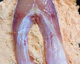 Ropogós pontyszelet sütőben sütve 🐟 recept fázis 3 fotója