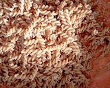 Foto langkah ke 3 dari resep Pasta daging sapi creamy.