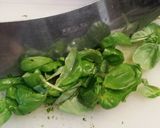 Foto del passaggio 1 della ricetta Lasagnette con basilico al pesto