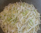 Foto del paso 4 de la receta: Falso chucrut en olla Essen