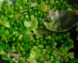 A picture of step 3 of Leftover rice Tadka.