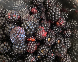 Foto del paso 1 de la receta: Muffins de moras y plátano