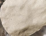 બાજરીનો રોટલો (Bajri Rotlo Recipe In Gujarati) રેસીપી સ્ટેપ2ફોટો