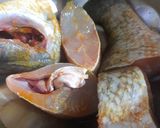 ভেটকি মাছ কষা (bhetki kosha recipe in Bengali) রেসিপি ধাপ - 1 ছবি