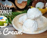ટેન્ડર કોકોનટ આઇસક્રીમ (Tender Coconut Ice Cream Recipe In Gujarati) રેસીપી સ્ટેપ3ફોટો