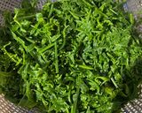 Hình bước làm 2 của món Rau Dớn (rau rớn) nộm