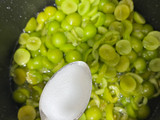 ترشک گوجه سبز (ترشک آلوچه)