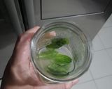 Foto del paso 1 de la receta: Mojito 🍋🍹