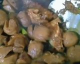Foto langkah ke 3 dari resep Semur bakso dan ayam.