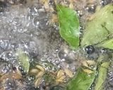 सेव टमाटर सब्जी(Seb tamatar ki sabzi recipe in HindI) रेसिपी चरण 2 फोटो