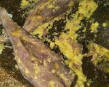 Foto langkah ke 2 dari resep Pepes cakalang bumbu sederhana,,,.