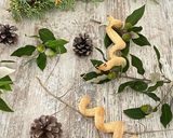 Une image de l'étape 3 de Serpent feuilleté.