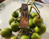 Hình bước làm 1 của món Cóc ngâm