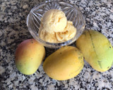 Foto del paso 2 de la receta: Helado de mango