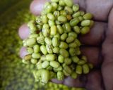 A picture of step 2 of Green gram sundal.