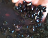 Foto del paso 1 de la receta: Alubias Negras o Frijoles (Receta cubana)