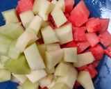 Foto langkah ke 1 dari resep Es Susu Semangka Melon.
