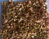 A picture of step 1 of Sprouts cutlet.