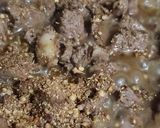 A picture of step 2 of Mutton Kalaiji.