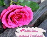 صورة لخطوة 7 من وصفة كبسه بنكهة اللومي