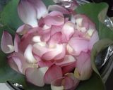 Hình bước làm 3 của món Gà hấp hoa sen