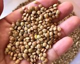 Foto del paso 1 de la receta: Lentejas con zapallo italiano y pimentón