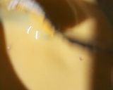 A picture of step 9 of Custard Apple Parfait.