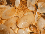 Auberginencreme (Padlizsánkrém)