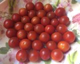 Foto del paso 5 de la receta: Pastel Caprese 🍃🍅