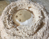 Foto del paso 2 de la receta: Pan lactal de salvado