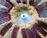 Foto del paso 10 de la receta: Budín de pan relleno de membrillo