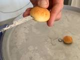 Noche buena (empapado de rosca de cuajada)
