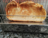 Foto del paso 1 de la receta: Tosta de pimiento, aguacate y queso